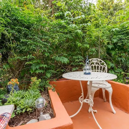 Garden View Apartment