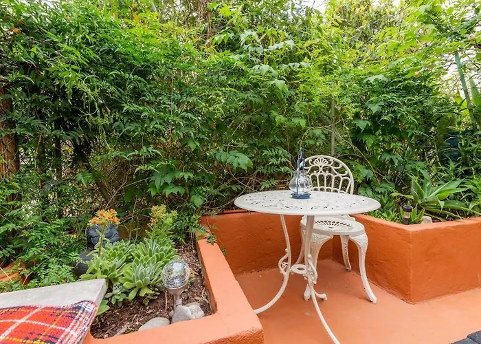 Garden View Apartment